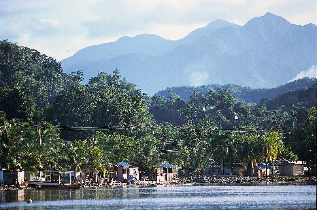 Fishing village and palm trees on shore, Port Antonio, Portland, Jamaica, Caribbean, America