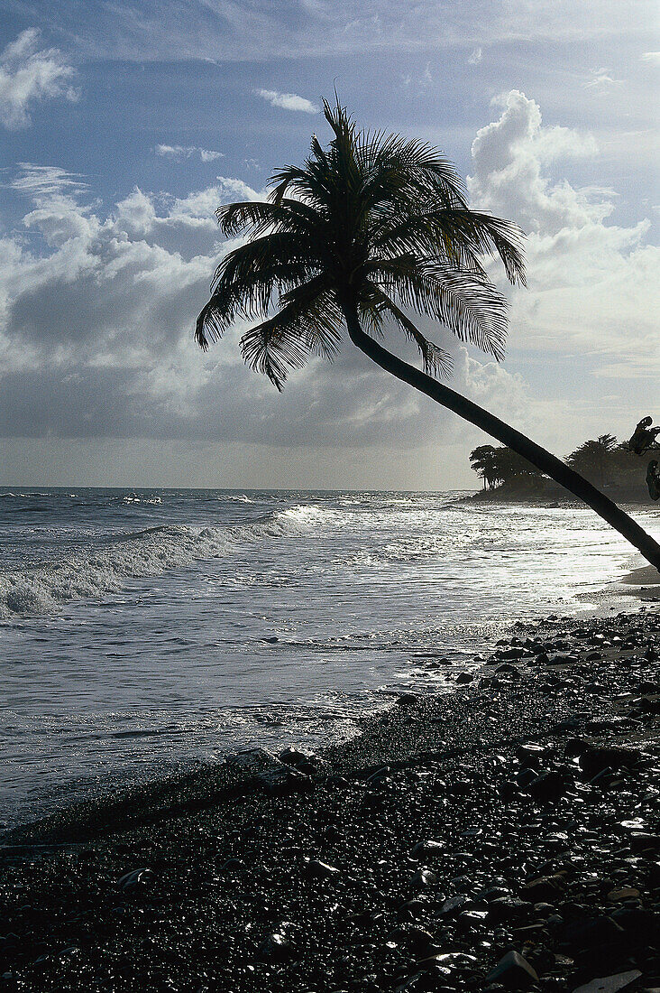 Strand bei Yallahs, St. Thomas Jamaika, Karibik