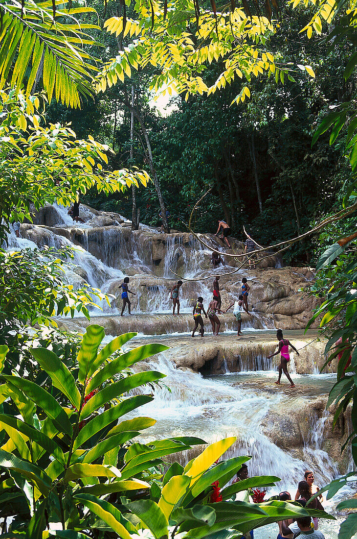 Dunn's River Falls, Ochos Rios, Distrikt St. Ann, Jamaika, Karibik