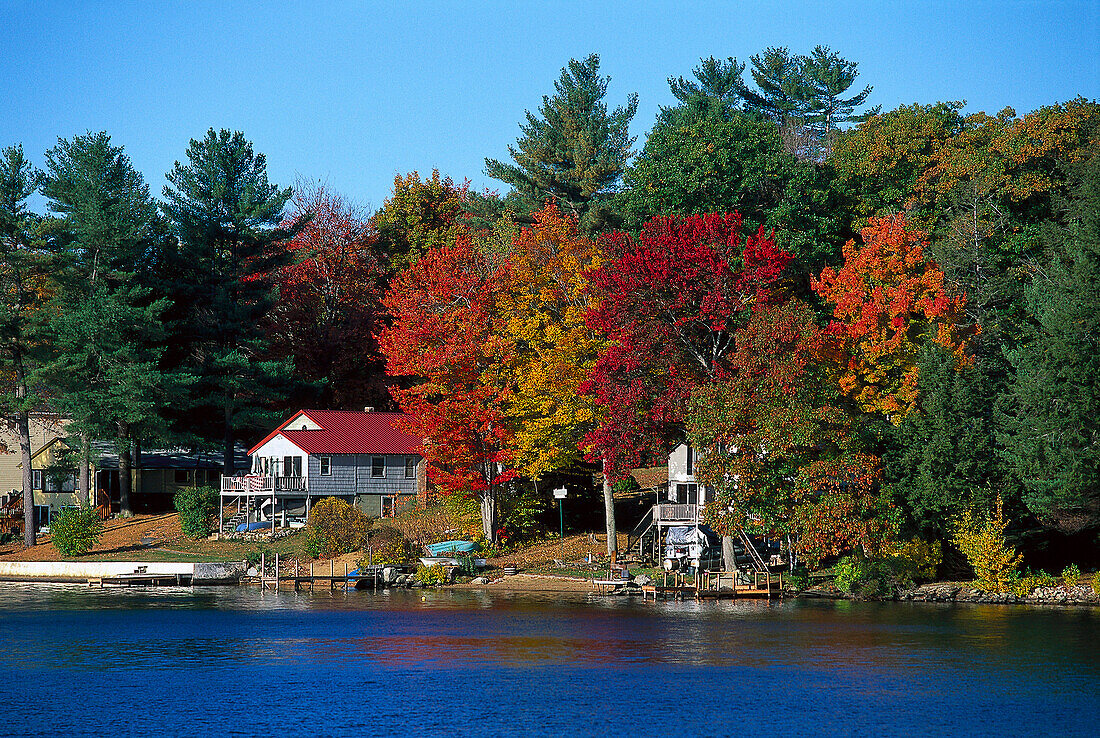 Indian Summer, Northwood Lake, New Hampshire, USA