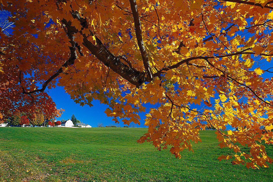 Shakerdorf, Canterbury New Hampshire, USA