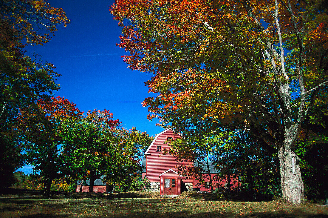Scheune, Franklin, Hancock, Maine USA