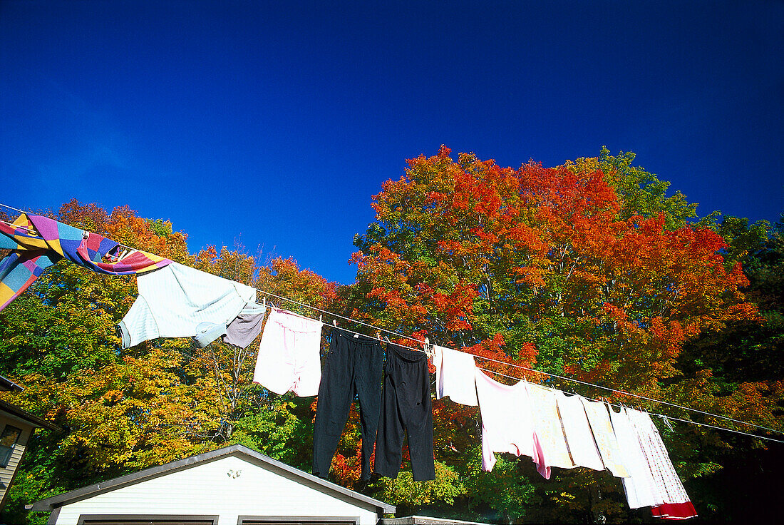 Wäscheleine und herbstliche Bäume unter blauem Himmel, Maine, USA, Amerika