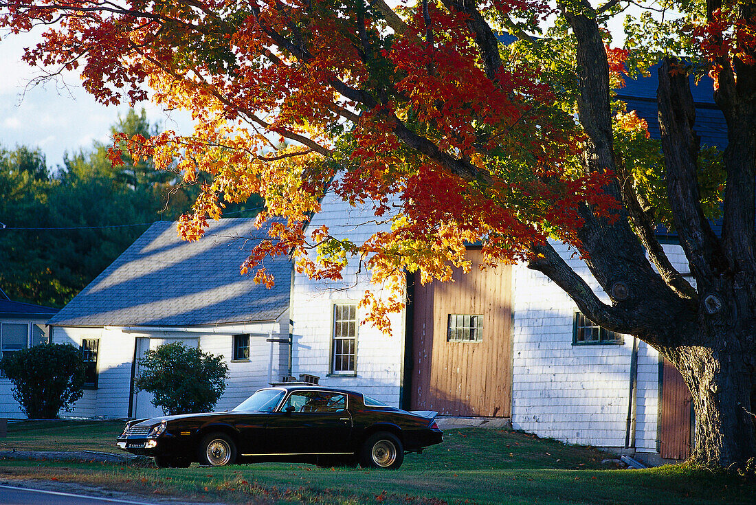Haus mit Sportwagen, Kennebunkport, Maine, USA