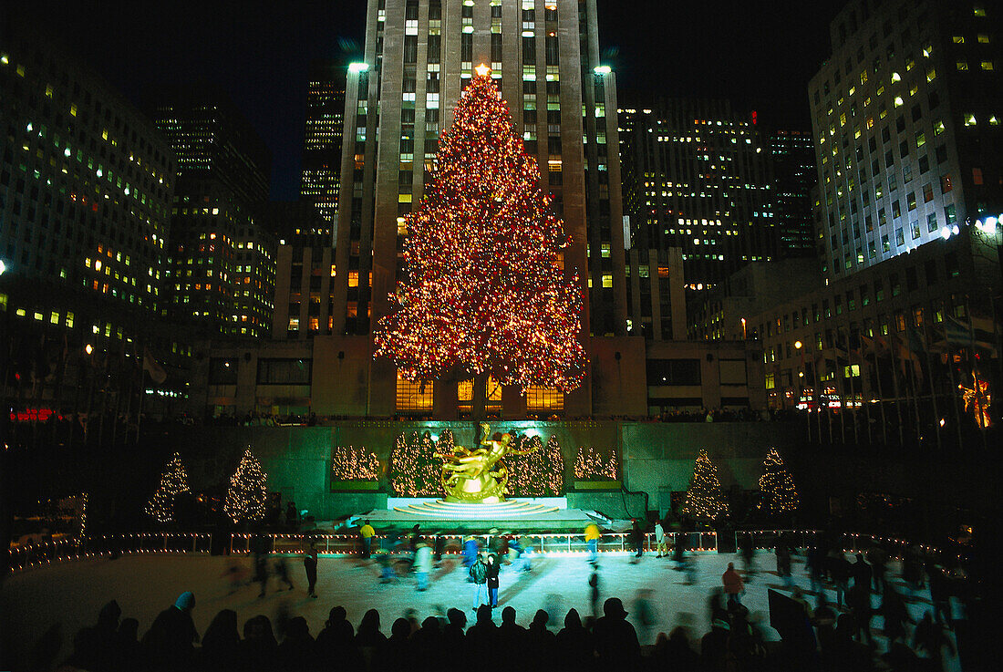 Beleuchtete Weihnachtsbäume an der Eislaufbahn am Rockefeller Center, Manhattan, New York City, USA, Amerika
