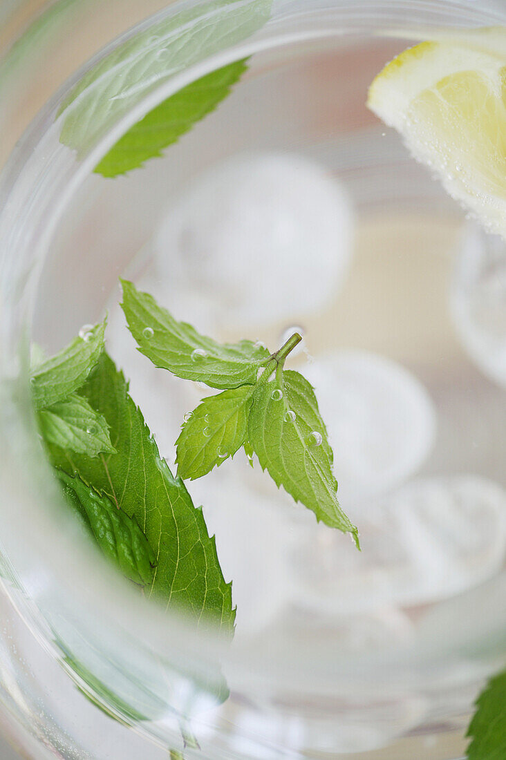 Water with lemon, mint and ice