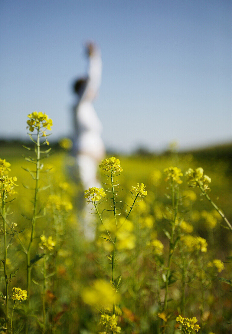 Pregnant woman standing in a canola field