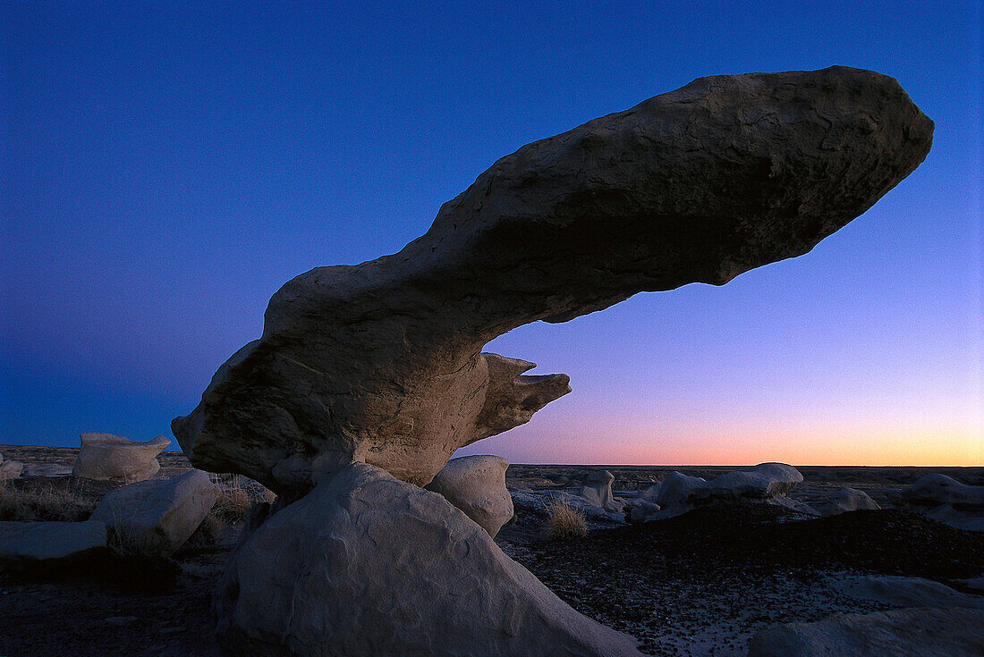 Rock formation, Bisti Badlands, New Mexico, USA