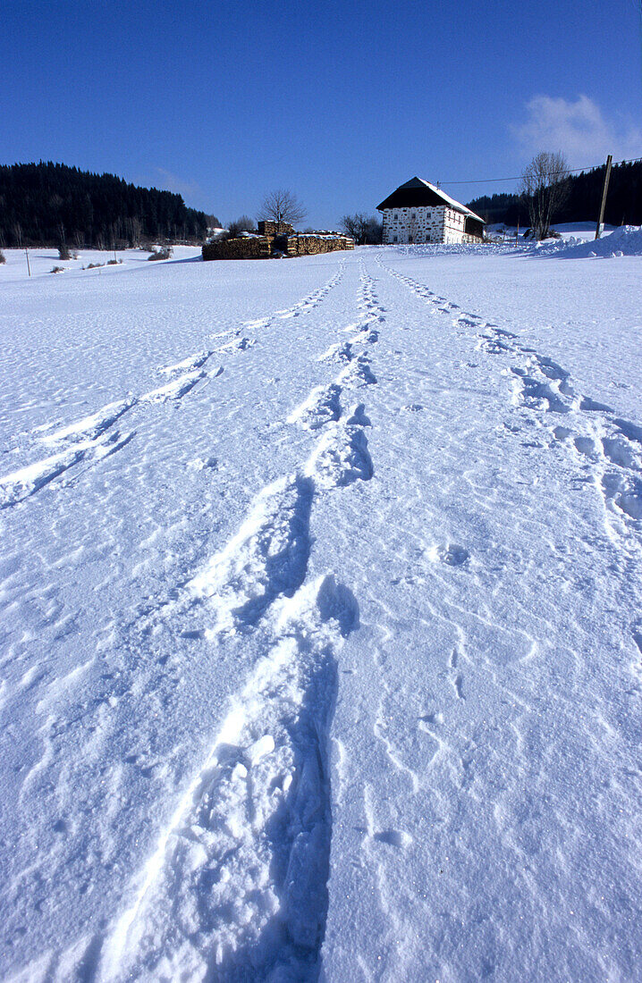 Traces on snow in front of traditional house, Muehlviertel, Upper Austria