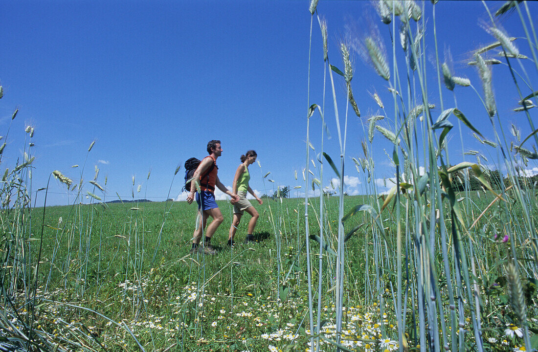 Couple hiking on meadow, Muehlviertel, Upper Austria