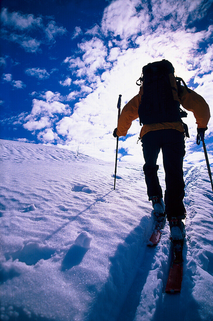 Mann beim Aufstieg, Skitour