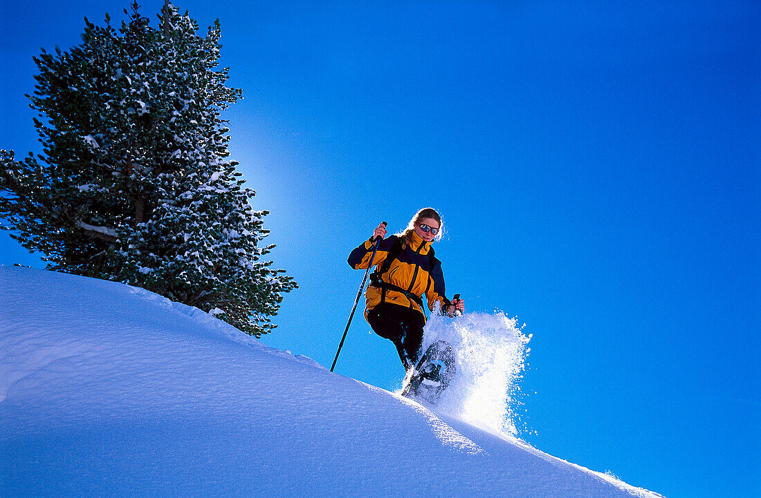Woman snowshoeing through a winter landscape, Kolm-Saigurn, Hohe Tauern, Salzburg, Austria