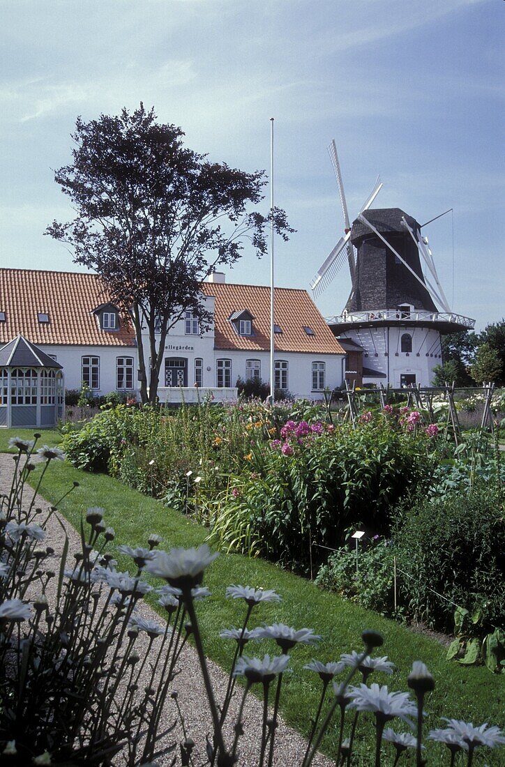 Windmill & Garden, Hojer, Juetland Denmark