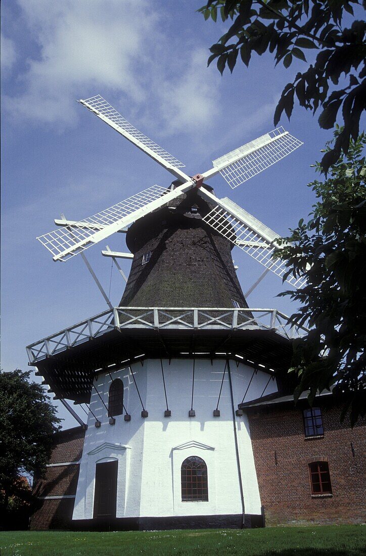 Windmill in the sunlight, Hojer, Juetland, Denmark, Europe