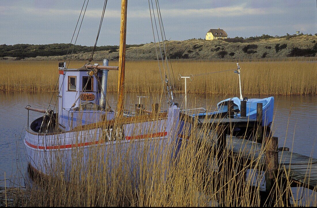 Fishingboat, Nymindegab, Jutland, Denmark