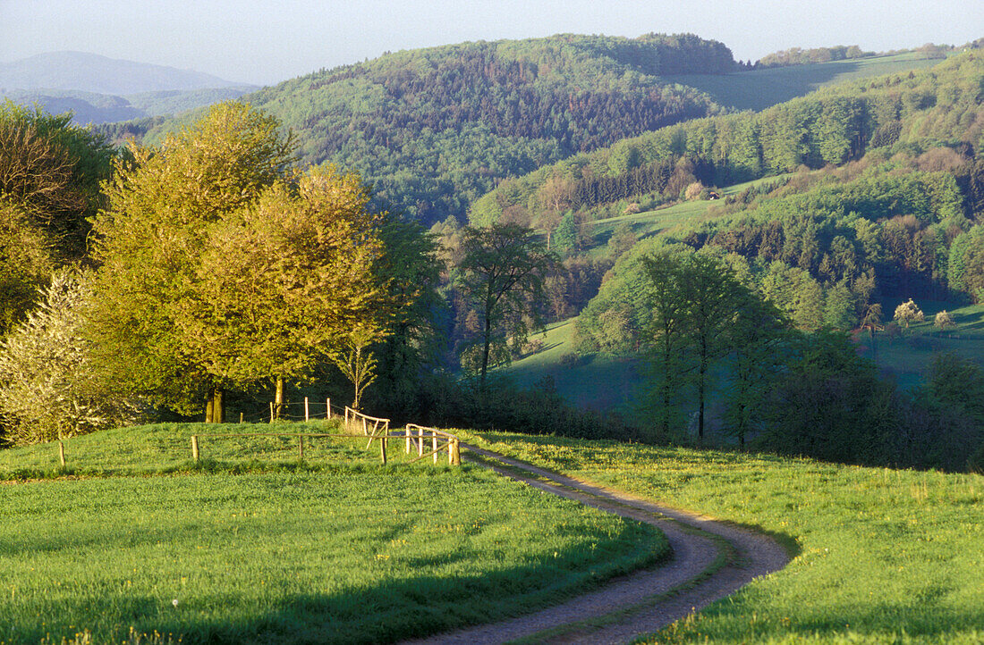 Landscape near Lindenfels, Odenwald Germany