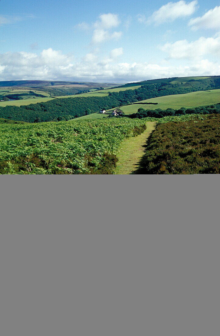 Exmoor near Porlock, Devon Exmoor Europe, England