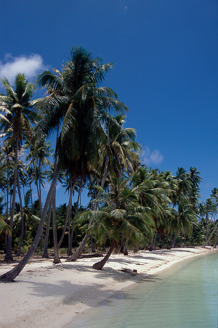 Strand, Motu Roa, Bora Bora Lagune Franzoesisch-Polynesien