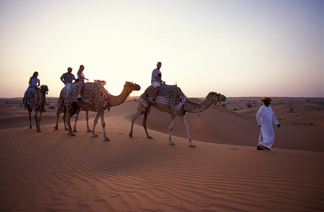 Camel rides through the desert, Al Maha Desert Resort, Dubai, VAE