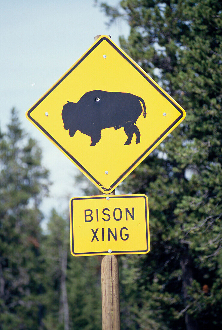 Bison Crossing Sign, Schild, bei West Yellowstone Montana, USA