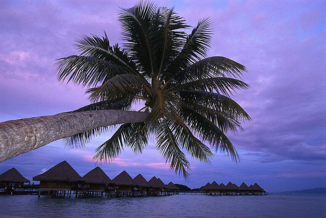 Moana Beachcomber Parkroyal, Bora Bora French Polynesia