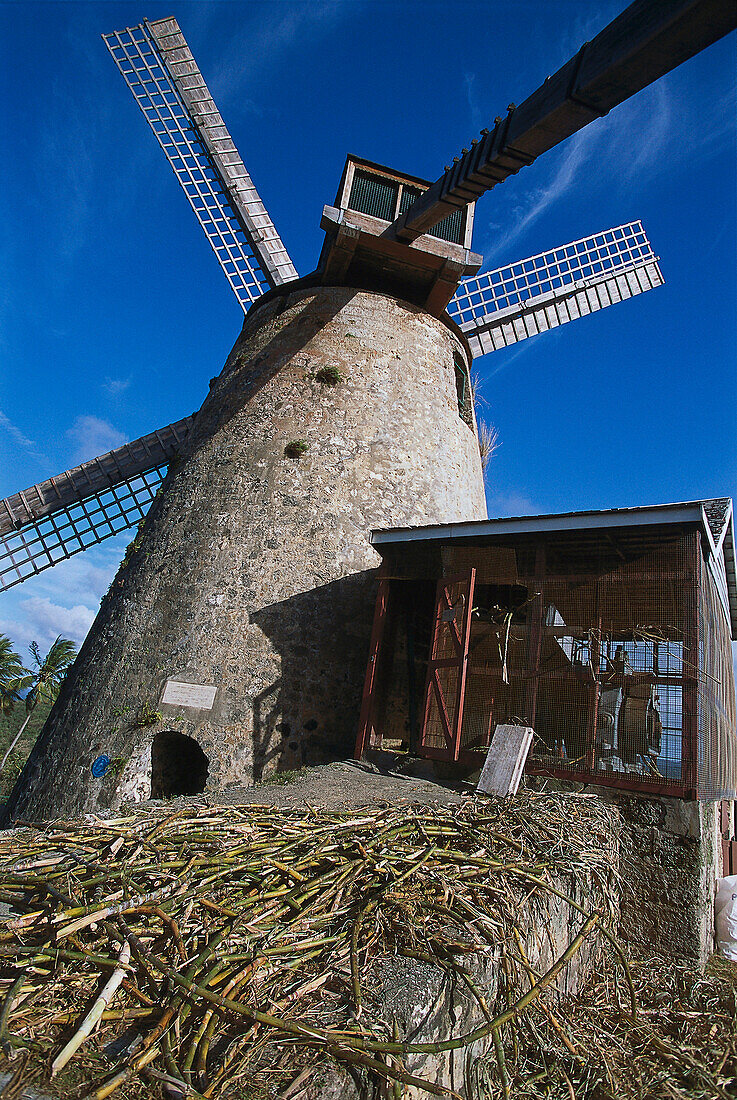 Morgan Lewis Sugar Mill, St. Lucy Barbados