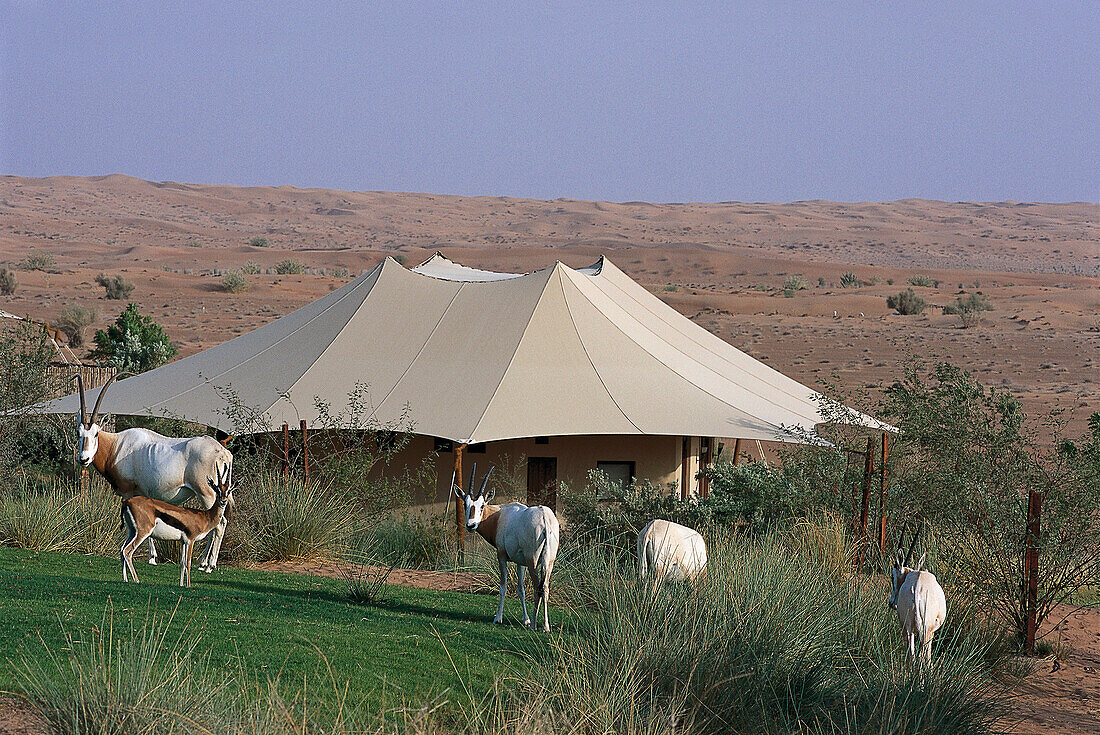 Arabian Onyx & Beduin Suite, Al Maha Desert Resort Dubai, Vereinigte Arabische Emirate