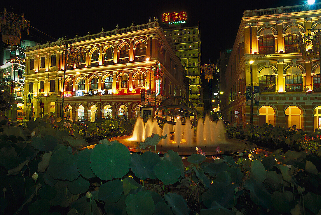 Lotus Flowers, Senado Square, Macao China