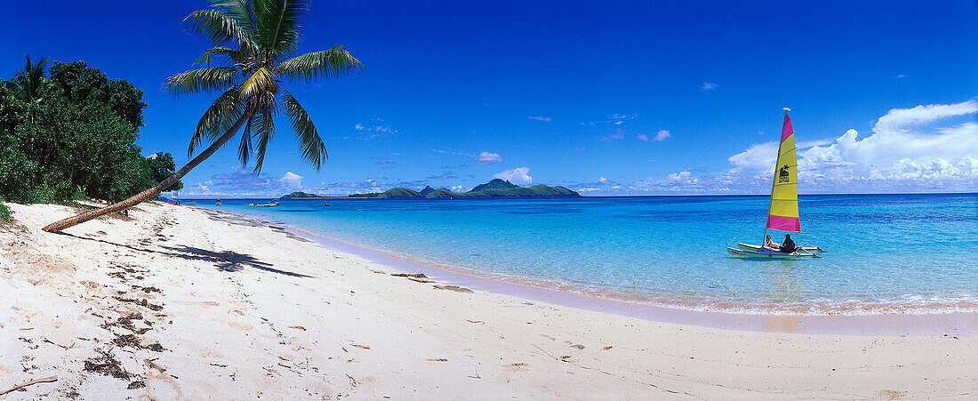 Palme am Strand und Hobie Cat Segelboot, Tokoriki Island Resort, Mamanuca Inselgruppe, Fidschi-Inseln, Südpazifik