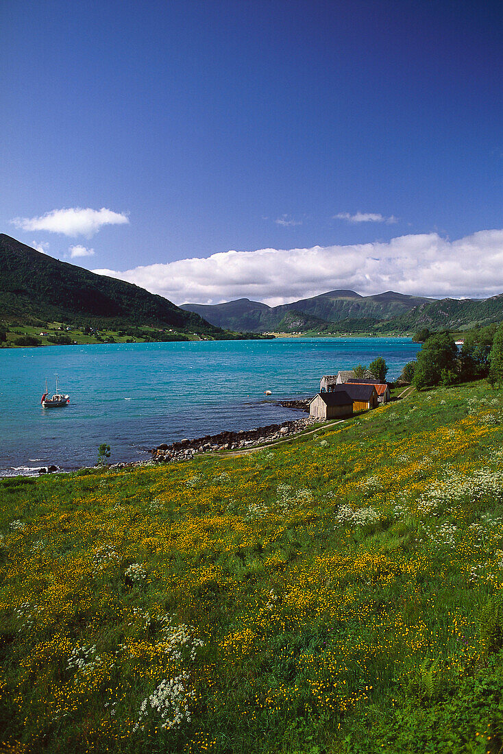 Gulenfjord bei Svelgen Sogn og Fjordane, Norwegen