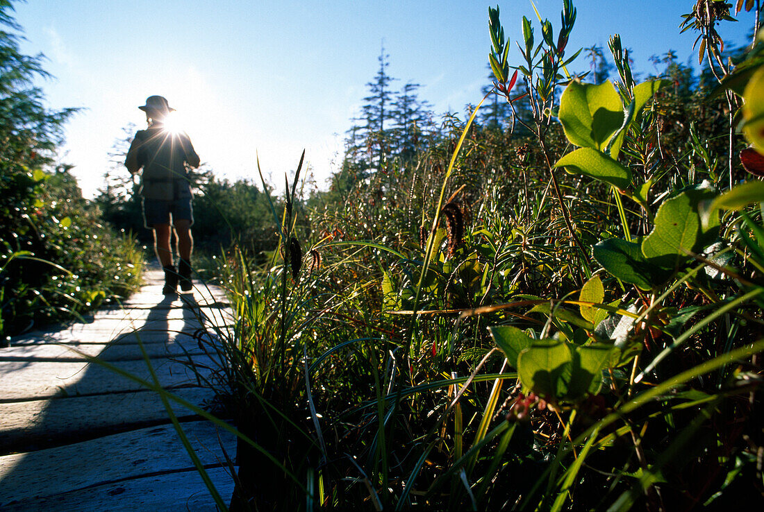 Man hiking, Hiking Trail, Cape Alava, near Ozette, Olympic National Park, Washington, USA