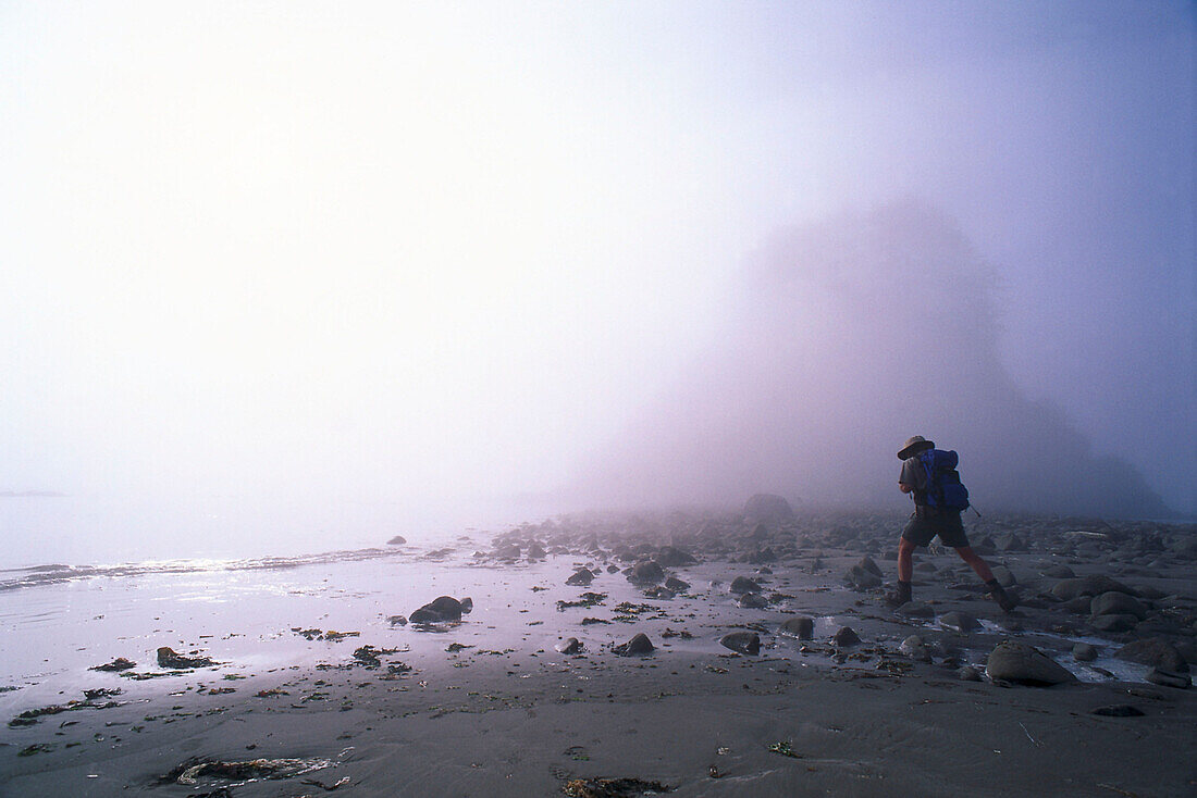 Man hiking on water shore, Cape Alave, Olympic NP, Washington, USA