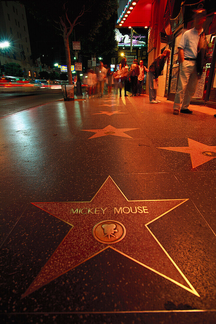 Walk of Fame, stars on the pavement of the Hollywood Boulevard, Los Angeles, California, USA, America