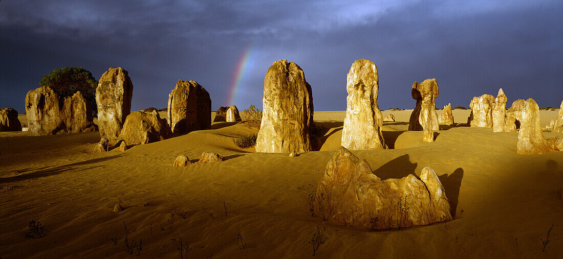 Die Pinnacles, Kalksteinsäulen, Nambung Nationalpark, Westaustralien, Australien