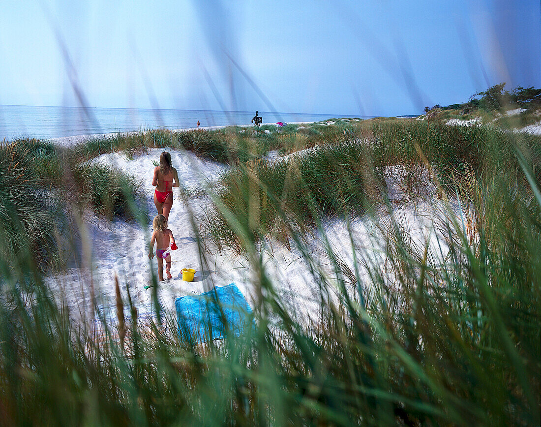 Blick durch Dünengras auf Mutter mit Kind, Dueodde, Bornholm, Dänemark, Europa