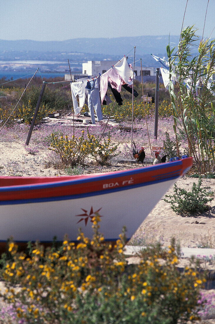 Fischerboot vor Wäscheleine im Sonnenlicht, Ilha da Culatra, Naturpark Ria Formosa, Algarve, Portugal, Europa