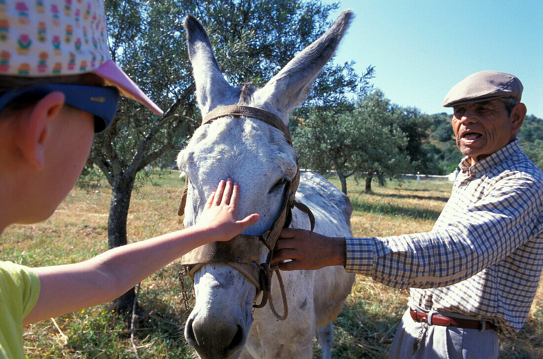 Girl, farmer, donkey, Quinta da Fonte do Bispo Tavira, Algarve, Portugal