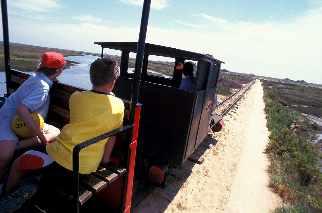Touristen fahren mit einem kleinen Zug durch den Naturpark Ria Formosa, Tavira, Algarve, Portugal, Europa
