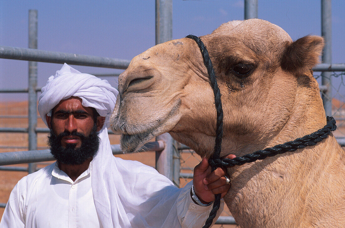 Rennkamel, Al-Ain, Emirat Abu Dhabi Vereinigte Arabische Emirate