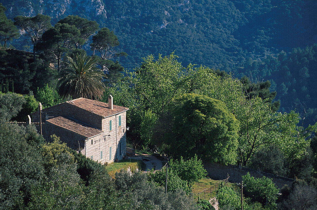 Finca in den Bergen von Valdemossa, Sierra de Tramuntana, Mallorca Balearen, Spanien, Europa