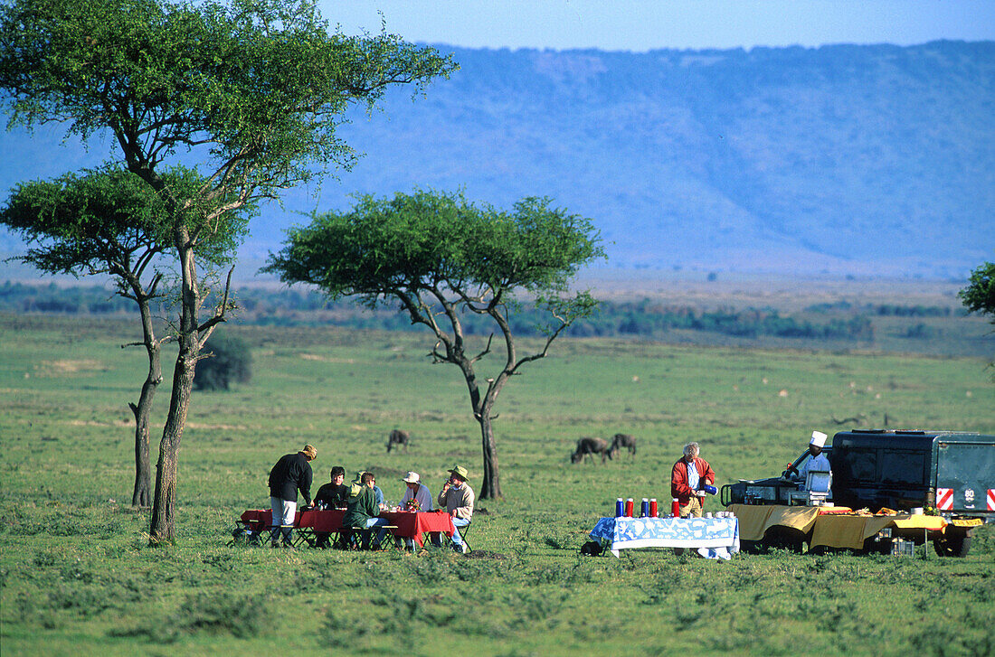 Fruehstueck in Steppe nach Ballonflug, Transworld Safaris, Gnus in Distanz Masai Mara Natl. Reserve, Kenia