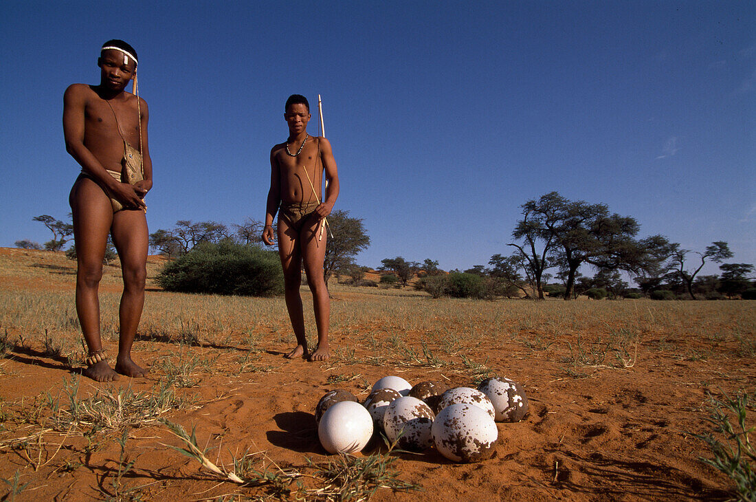 Two bushmen from the San showing an old ostrich nest, Intu Africa Kalahari Game Reserve, Namibia, Africa