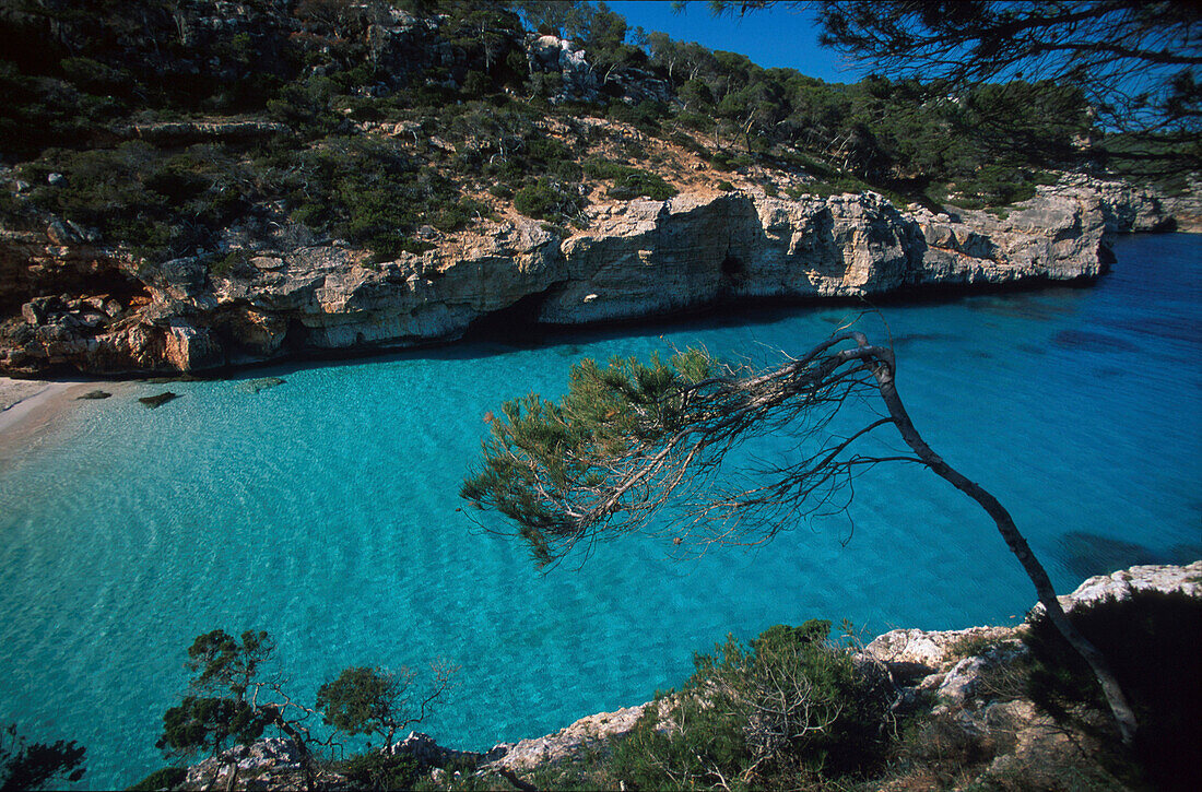 Bucht Cala S´Amonia, südl. Santany, Ostküste, Mallorca Balearen, Spanien