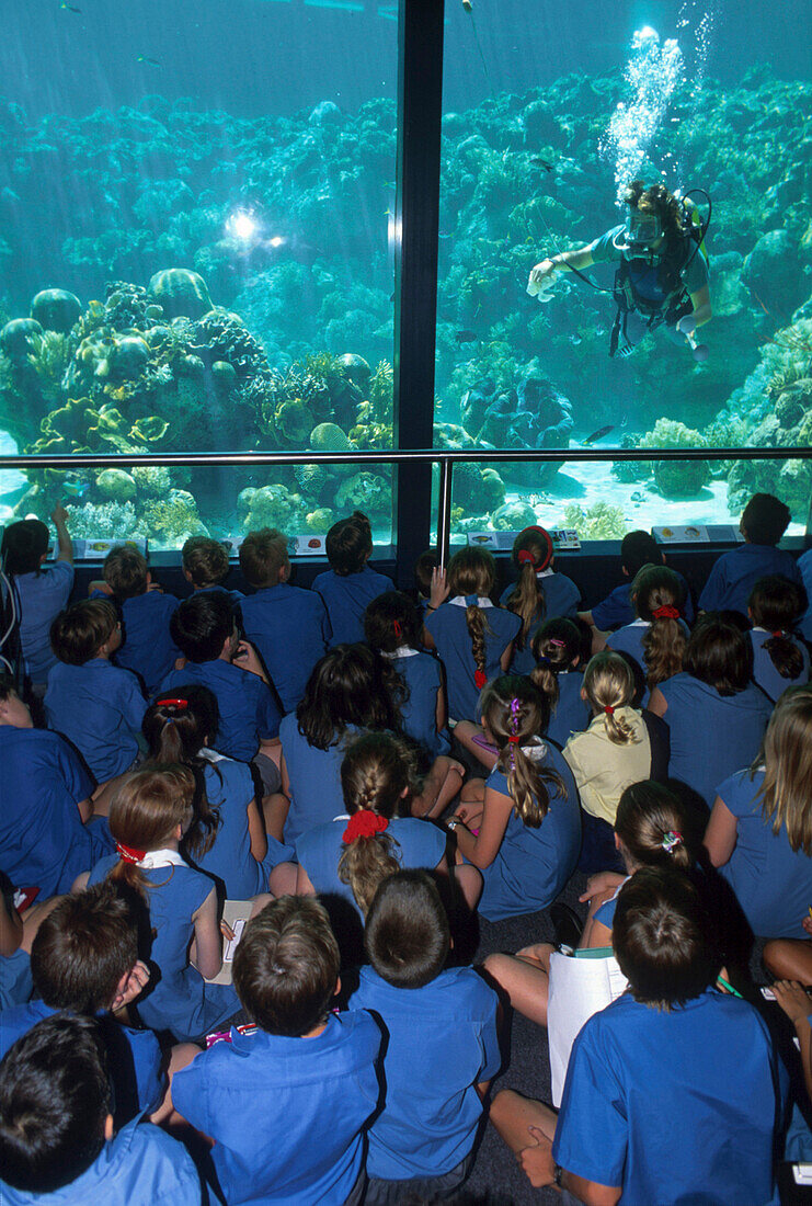 Schulklasse im Great Barrier, Reef Wonderland Aquarium Townsville, Queensland, Australien