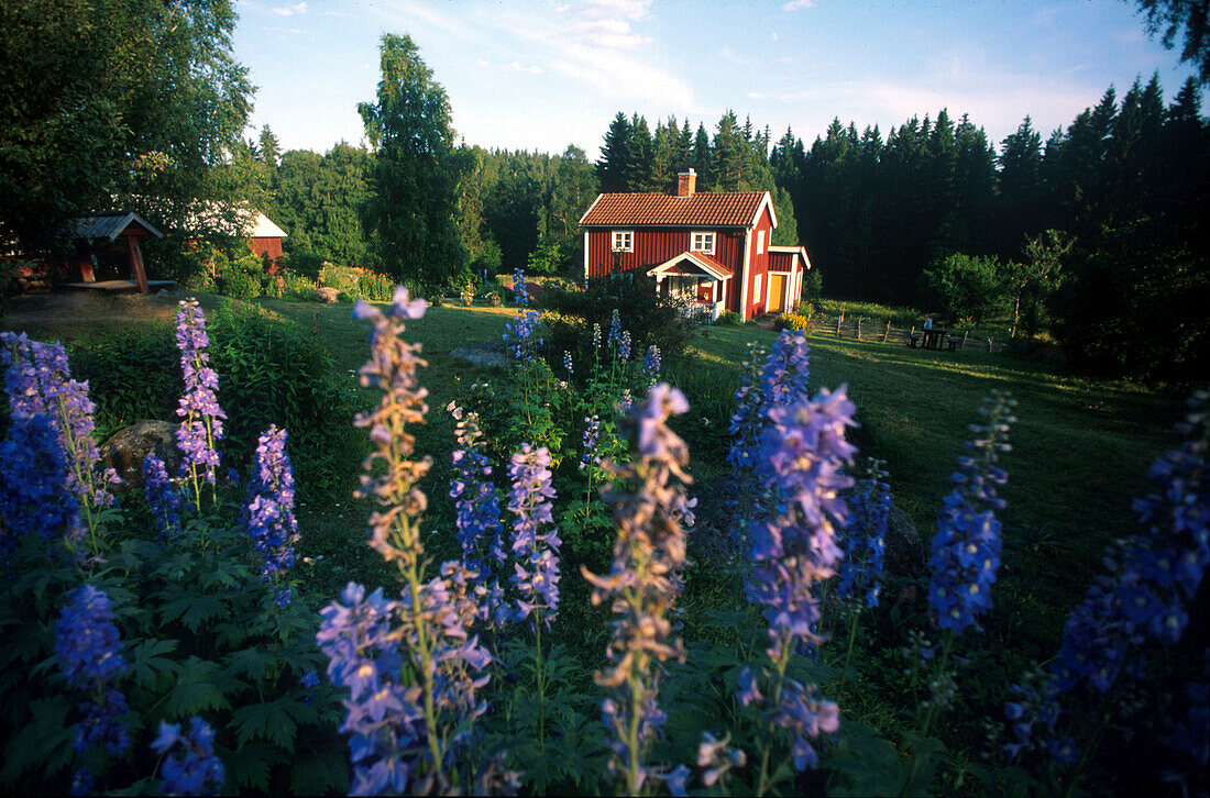 Hof Katthult, Drehplatz des, Michel aus Loenneberga, Gibberyd Smaland, Schweden