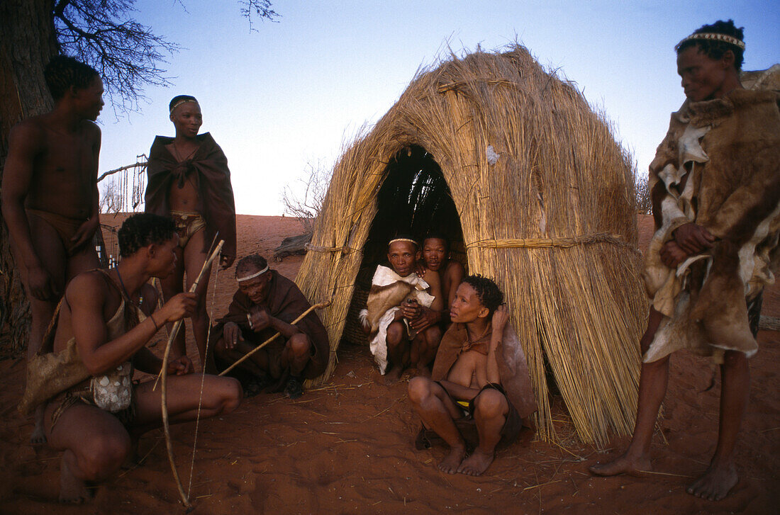 Traditional bushman hut, Wiederangesiedelte San, Intu Africa Kalahari Reserve, Namibia, Africa