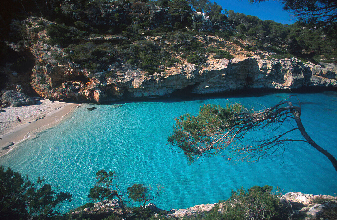 Cala S'Amonia Bucht, Santany, Ostküste, Mallorca Balearen, Spanien