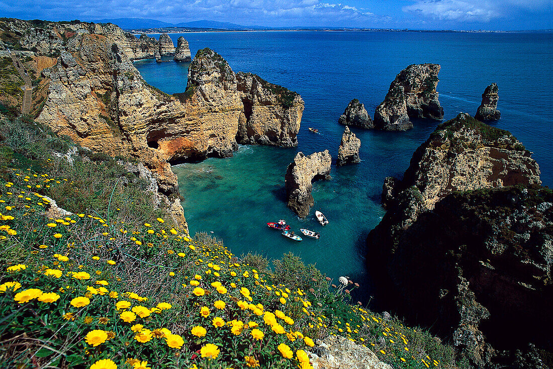 Blumen an der Steilküste von Ponta da Piedade im Sonnenlicht, Algarve, Portugal, Europa