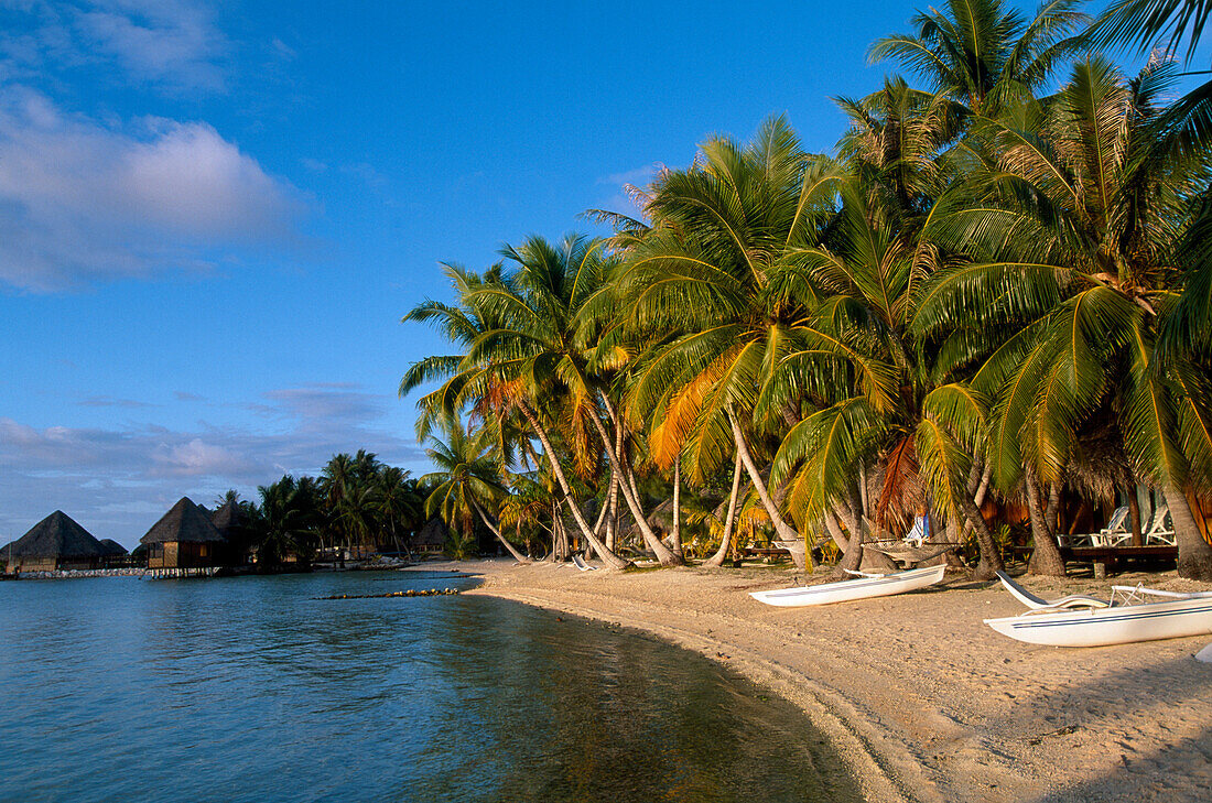 Strandbungalows, Manihi Pearl Beach, Manihi Atoll, Tuamotus, Französisch-Polynesien, Südsee