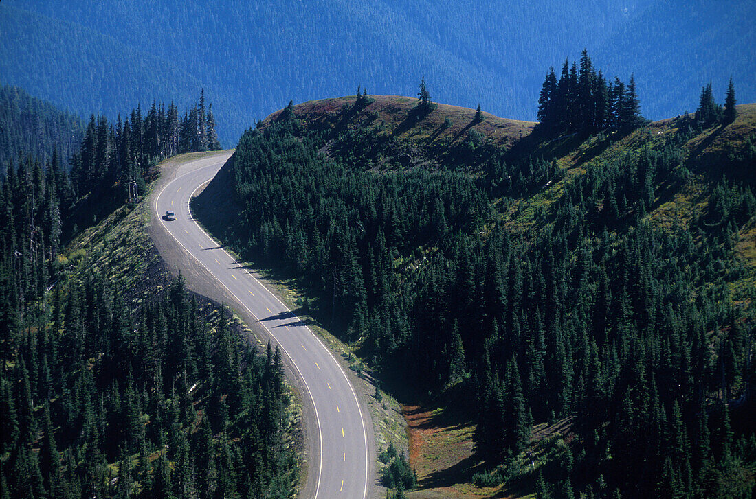 Strasse zur Hurricane Ridge, Olymic Nationalpark Washington, USA